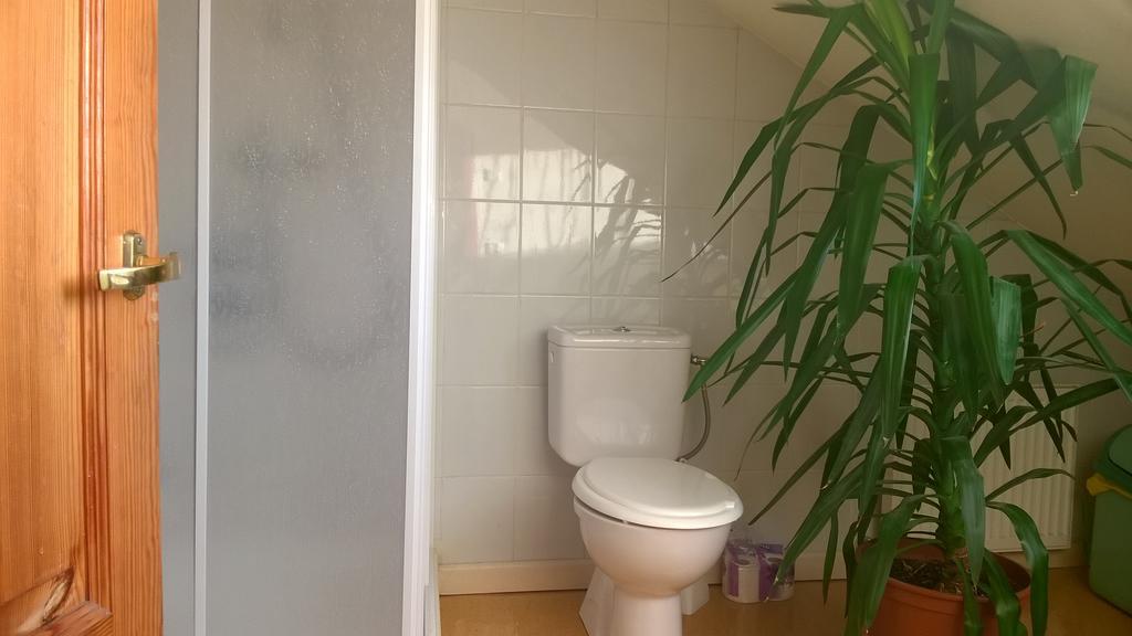 Apartament Cheap And Chic Ryga Zewnętrze zdjęcie